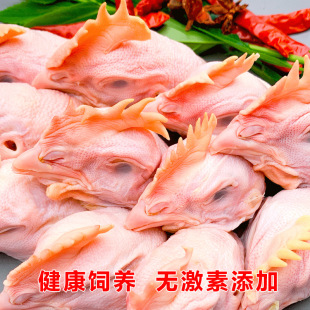 ���r�u�^5��������������u�^���u�^���r�ك��u�^�u���ָ�Ʒ����