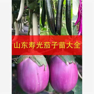 ����������L���Ӻ����A����������Ͽ�������������߲������ȫ