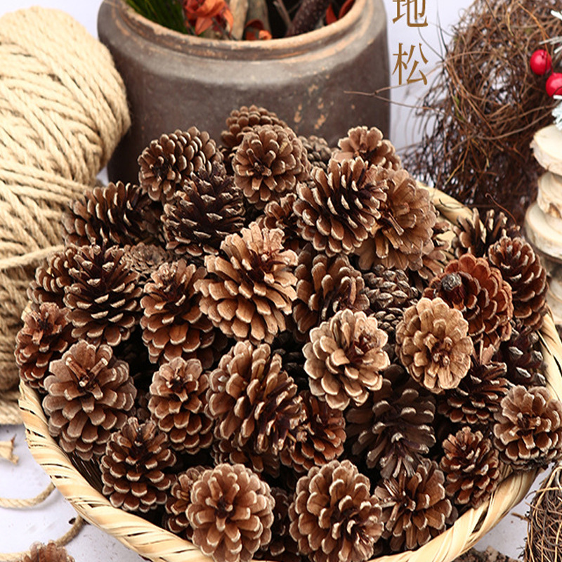 Procesamiento y embalaje de piñas Flores secas personalizadas Pinus olinus americano Pinus olisina local Pinus scale hilo colgante de piñas naturales image 9