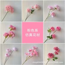 ��ɫϵ���滨��Y�ò����쾰�ٻ��������b���픻�·���廨�껨