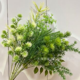 ��ɫԭɫϵ�з���Gֲ  ��c���Ż����b��@Gֲ�ҾӾƵ겼��
