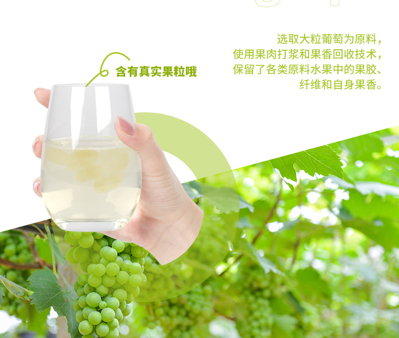 葡萄详情（国产）_04