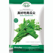 南瓜苗尖种子绿健种籽专吃花藤茎嫩叶特色蔬菜家庭阳台四季孑菜籽