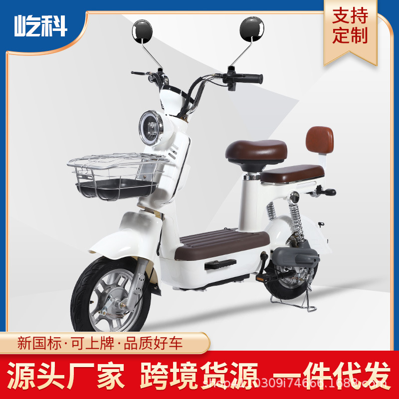 Nueva bicicleta eléctrica moderna para el comercio exterior, bicicletas eléctricas de batería para adultos, moda para dos personas, bicicletas eléctricas de dos ruedas de 48V