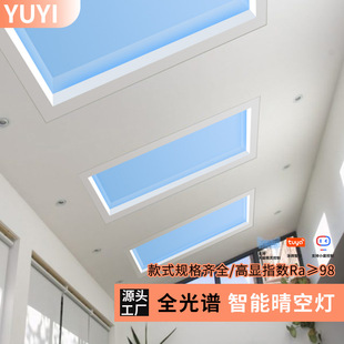 Factory Customized Smart Clear Sky Lamp Kitchen Study Integrated Ceiling Type Embedded Modern Blue Sky Lamp Blue Sky Lamp