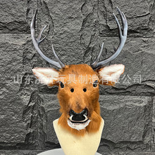 �����F�b�F�^¹�^�����^�׸�����ϵ��ϵkig�ɴ���cos���b��չ����