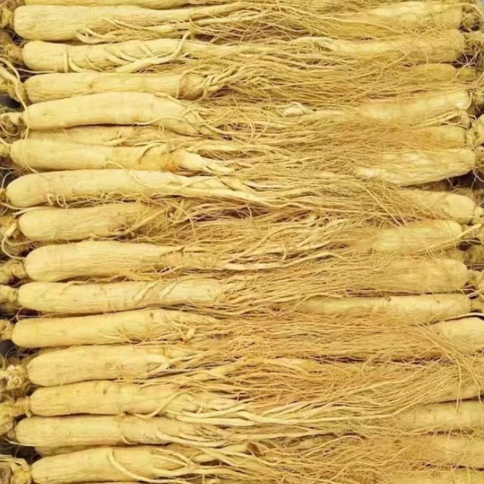Northeast Changbai Mountain Ginseng Bai Ginseng Paidin 6 -year -old…
