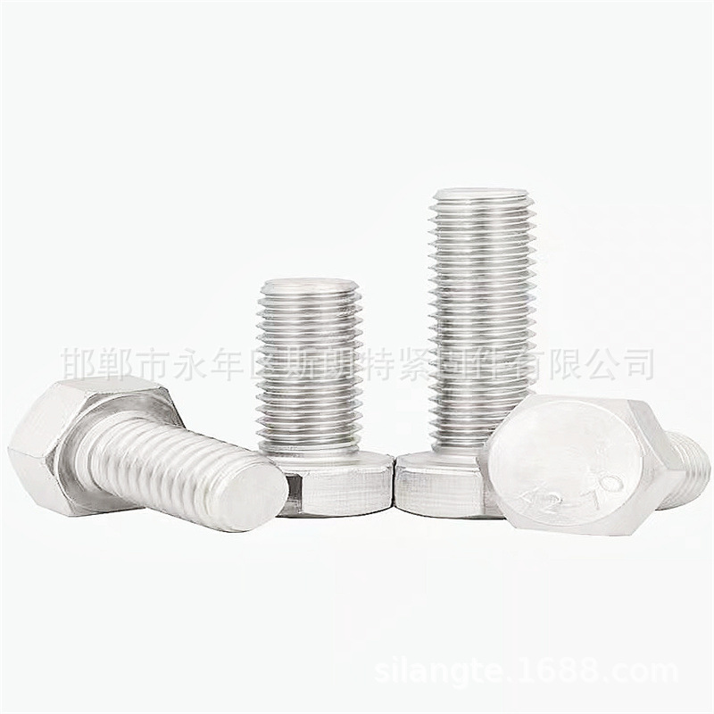 SS316L�������˿DIN933 304���������ͷ�ݶ�ISO4017  EN24017