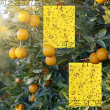 ճ�x���T�x���p���S���{��S�����l�Sɫմ�x���r�I�E�R�@�ֲ��x�N