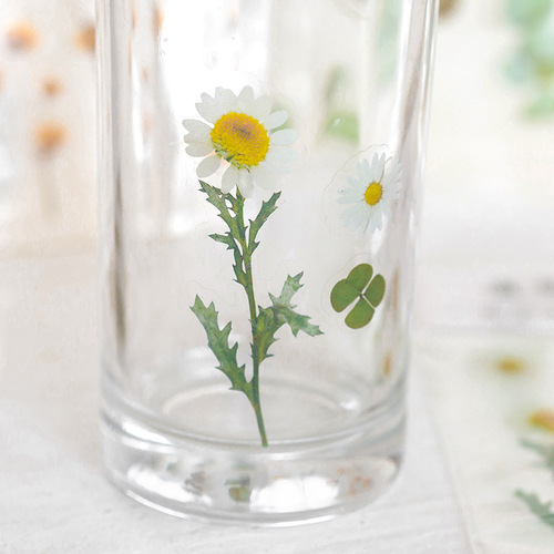 透明PET贴纸防水保温杯水杯小清新花朵植物diy手帐素材装饰贴画