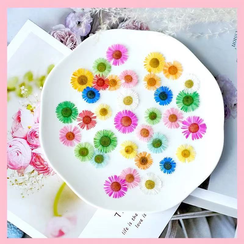 Nail Art Needle Chrysanthemum Embossed Nail Art Stereo Natural Small Dried Flowers Mobile Phone Case Plant Flowers Glue Material Nail Art Decoration