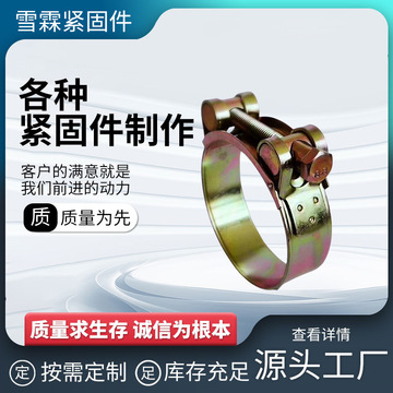 铁镀锌欧式汽车用可调式抱箍管道卡箍 厂家现货不锈钢T型弹簧 卡-阿里巴巴