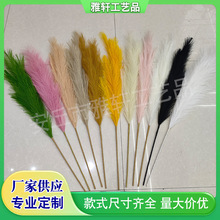 С�t�������JȔ��W���羳���R�dins�L18��110cm��Y�������b�