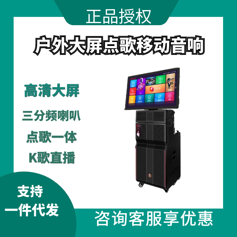 Manlong Audio 3385 Large-Screen Video Karaoke All-In-One Outdoor Ktv Performance Singing Mobile Roadshow Speaker