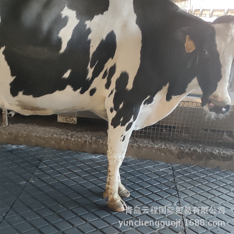耐磨耐用待挤区方块纹橡胶垫  挤奶厅防滑专用胶板 奶牛防滑垫