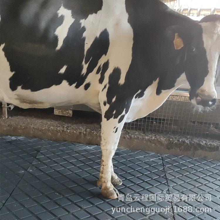 Резиновый циновка cowshed тюфяк слипера коровы спецификации толщины 17mm-25mm можно произвести по требованию