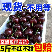 现货空运智利车厘子新鲜水果5斤3斤樱桃脆甜0g源工厂一件 批发