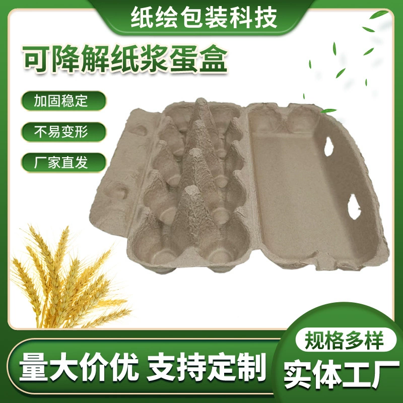 Производители спот полностью разлагаемые яйца 10 коробок для яиц