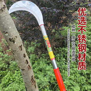 ���P�砵���̖���~�����z�����Ƶ��㽶�����l�r�ô�ី�ˮ��砵�