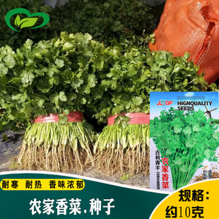 ��Ʒ�N��˷N���ļ��r����˷N��ɽ�|��ζ��ܾݴ�߲˷N�����l