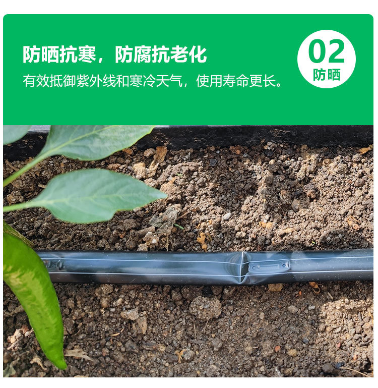 详情_04.jpg
