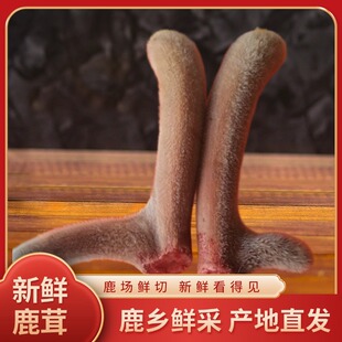 ���r¹��Ƭ���r��Ƭ�r¹�ז|���خa�B����Ƭ��հ��b�ӾƱ��r