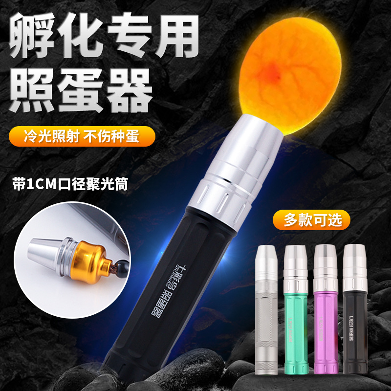 小型鹦鹉鸡蛋专业冷光铝合金照蛋器孵化强光灯验蛋套餐