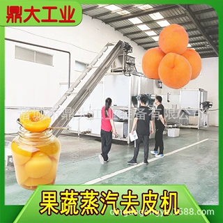 全自动蒸汽脱皮机 黄桃葡萄加工设备 罐头食品加工流水线厂家直供