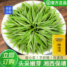保靖黄金茶2026新茶湖南湘西工厂直销 明前头采绿茶茶叶批发代发