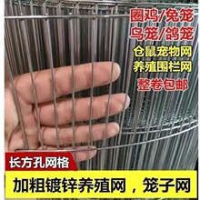 鸟笼网鹌鹑网养殖鸽子网电焊网巻养鸡网家用兔笼镀锌铁丝网鹦鹉笼