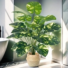 �羳����Gֲ�����辰�҃ȿ͏d�[��18�^���G�}��ֲ���b߷���