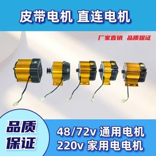 大功率纯铜48V-72V电机减速电机皮带款高压新式永磁电动车通用型