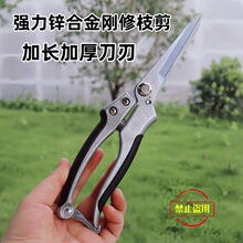 �@�ּ�����֦�޼�Ě�ȸ�����������ˮ�������֦���Ѿ��ۼ��û���