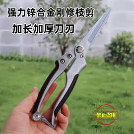 园林剪刀树枝修剪脐橙柑橘柚子辣椒水果疏果粗枝葡萄线槽家用花草