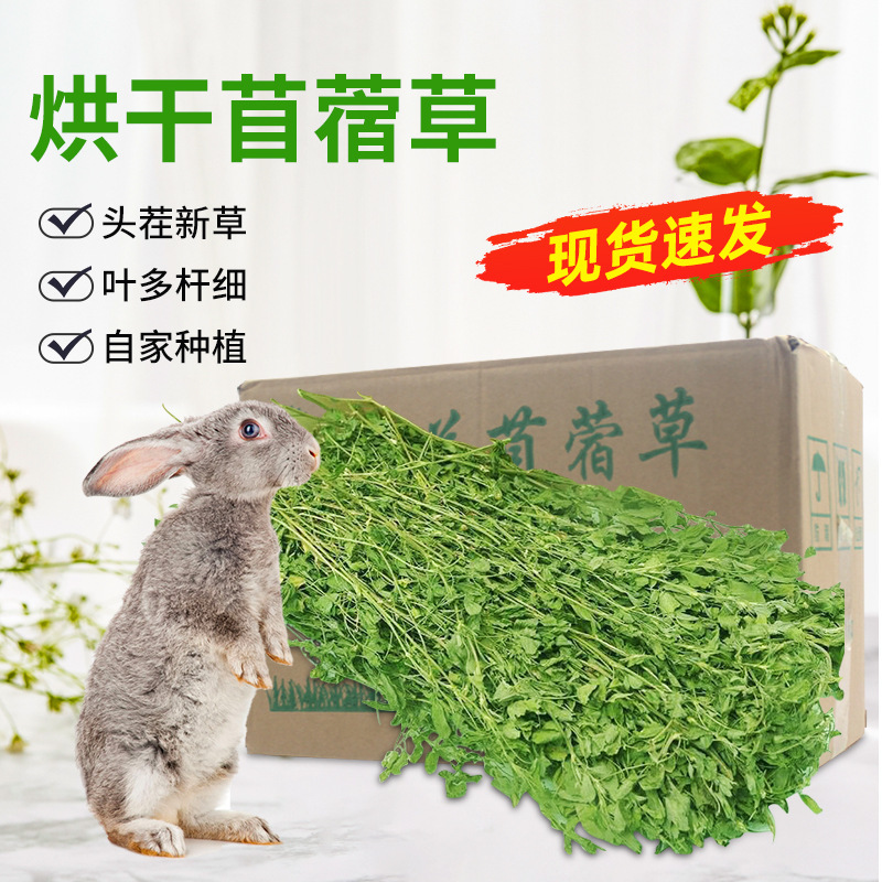 2026 Dried Alfalfa Grass for Chinchillas, Guinea Pigs, Rabbits Pet Food Feed 1Kg/Alfalfa for Young Rabbits
