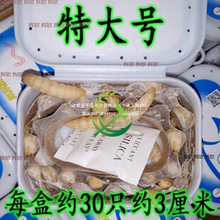 �������x�����x���x ���x �����x���w�����B��ʳ�B��Ϟ�����x��̖