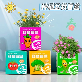 中性笔;笔记本记事本;盲盒玩具/盲袋玩具/洞洞乐