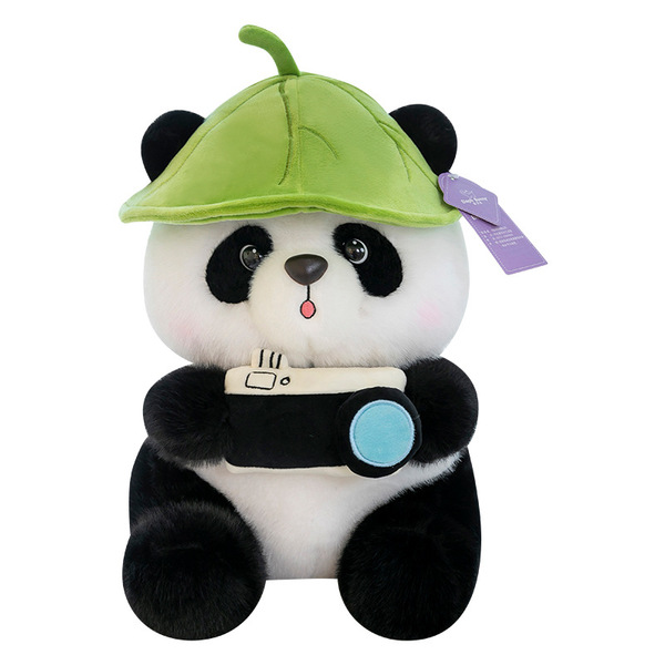 Cute realistic camera
