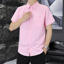 衬衫粉色新郎衬衫男长袖伴郎修身白色正装结婚婚礼免烫男士衬衣