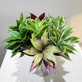 �ٺ������Gֲ����ľ��Ѫ���콶�����F�҃��쾰���P��ˇ�bG�~