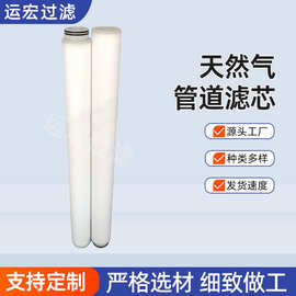 运宏天然气管道滤芯聚结分离过滤设备环保JPMG30226-SS厂家