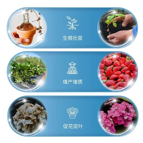Plant nutrition tablets, slow-release tablets, universal nitrogen, phosphorus and potassium compound fertilizer, flower and green plant fertilizer, flower fertilizer, household potting fertilizer