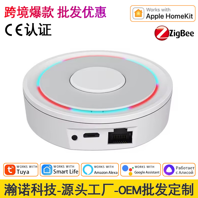 苹果涂鸦HomeKit&ZigBee智能有线网关智慧家庭控制中枢厂家家居