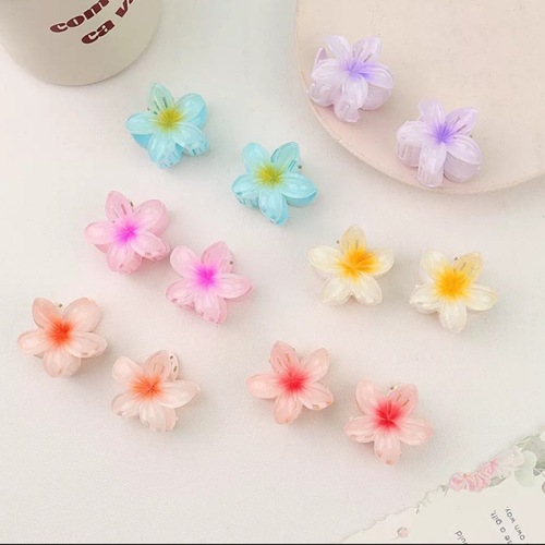 Amazon Bestselling Small Number Flower Egg Hairpin Gradient Egg Flower Claw Clip Fashion Shark Hairpin Sweet Hairpin