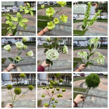 �Gɫ��c���滨�S�� �Gɫ����õ���w��¶ɏ�[�� ��Yܛ�b�ٻ����l