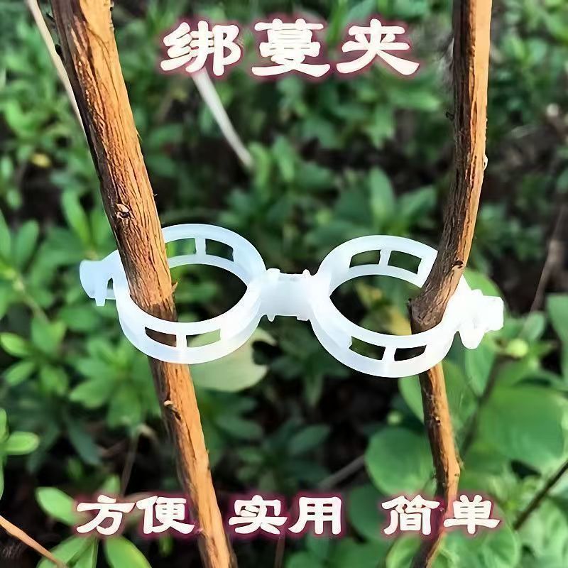 緑の植物の蔓固定クリップ、植物クリップ、苗吊りクリップ、プラスチック蔓結束クリップ、枝結束クリップ、温室苗固定クリップ|undefined