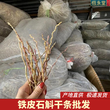 恒永堂浙江铁皮石斛干条安徽芽条粗条紫皮产地直供药材养生特级