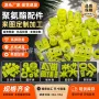 减震定制耐磨防撞优力胶