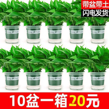 G}҃ȺBȩ՚ˮֲGֲԾGjl