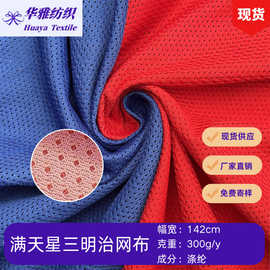 现货颜色300g满天星三明治网布箱包手袋床垫3D网全涤面料批发